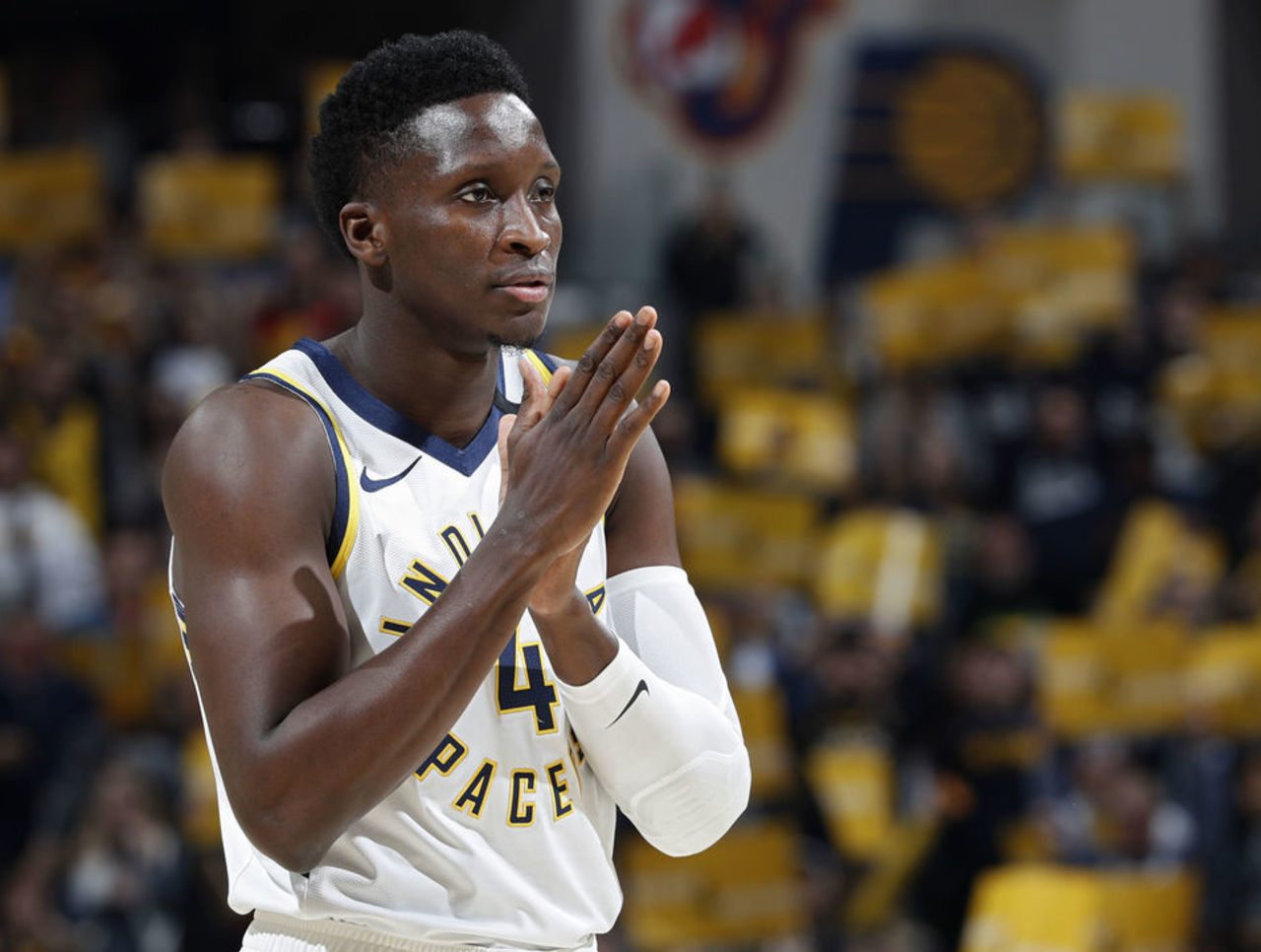 领域勇往直 领域勇往直