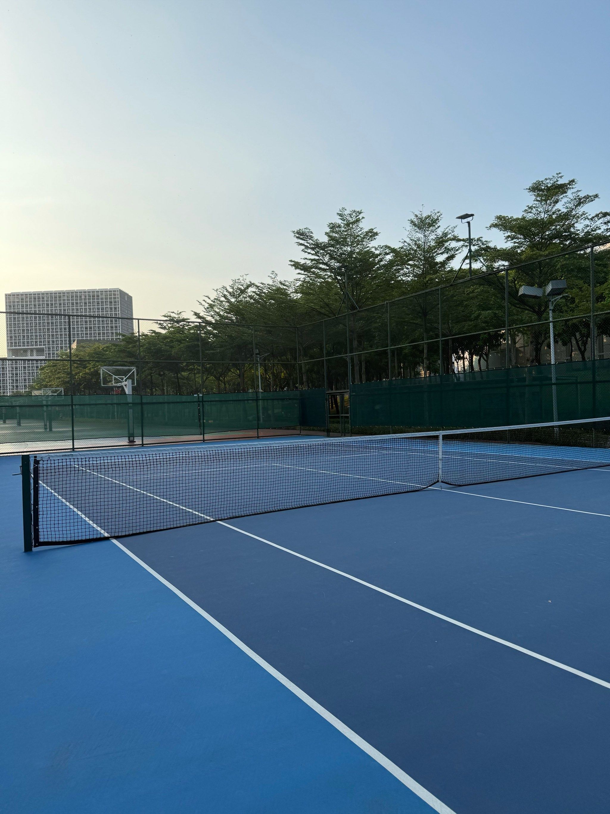 洲及其他地